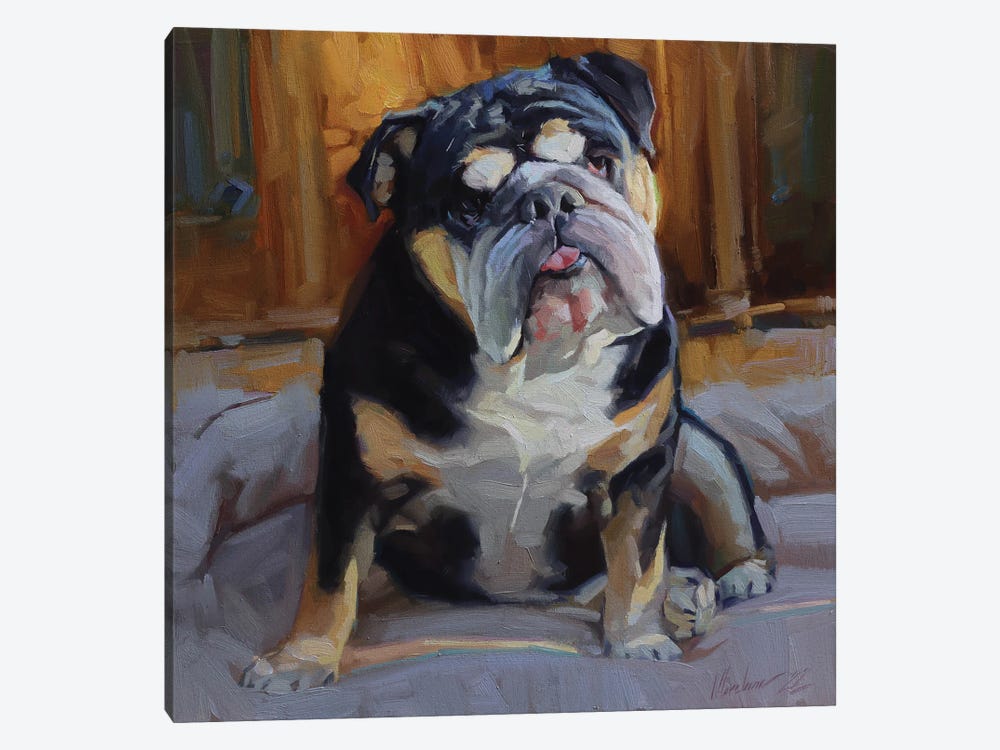 English Bulldog Painting by Alex Movchun 1-piece Canvas Art Print