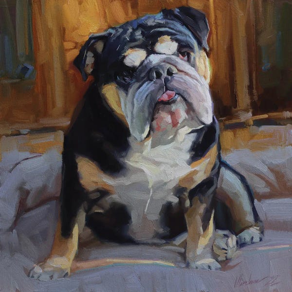 Golden Hour Animals: English Bulldog Painting by Alex Movchun