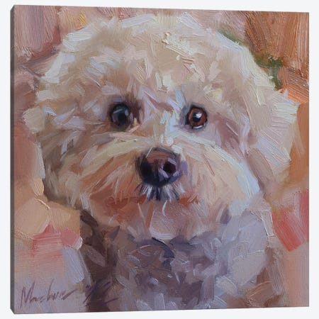 Small White Poodle, Dog Portrait Canvas Print #AMV104} by Alex Movchun Canvas Art