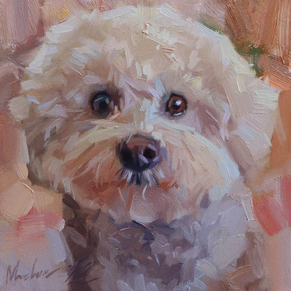 Alex Movchun: Small White Poodle, Dog Portrait by Alex Movchun
