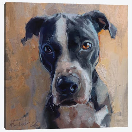Black Dog Painting Canvas Print #AMV106} by Alex Movchun Canvas Artwork