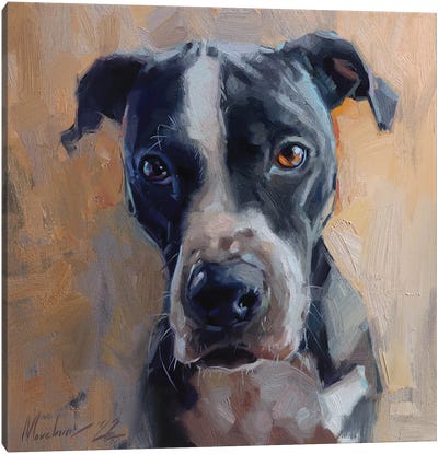 Black Dog Painting Canvas Art Print - Alex Movchun