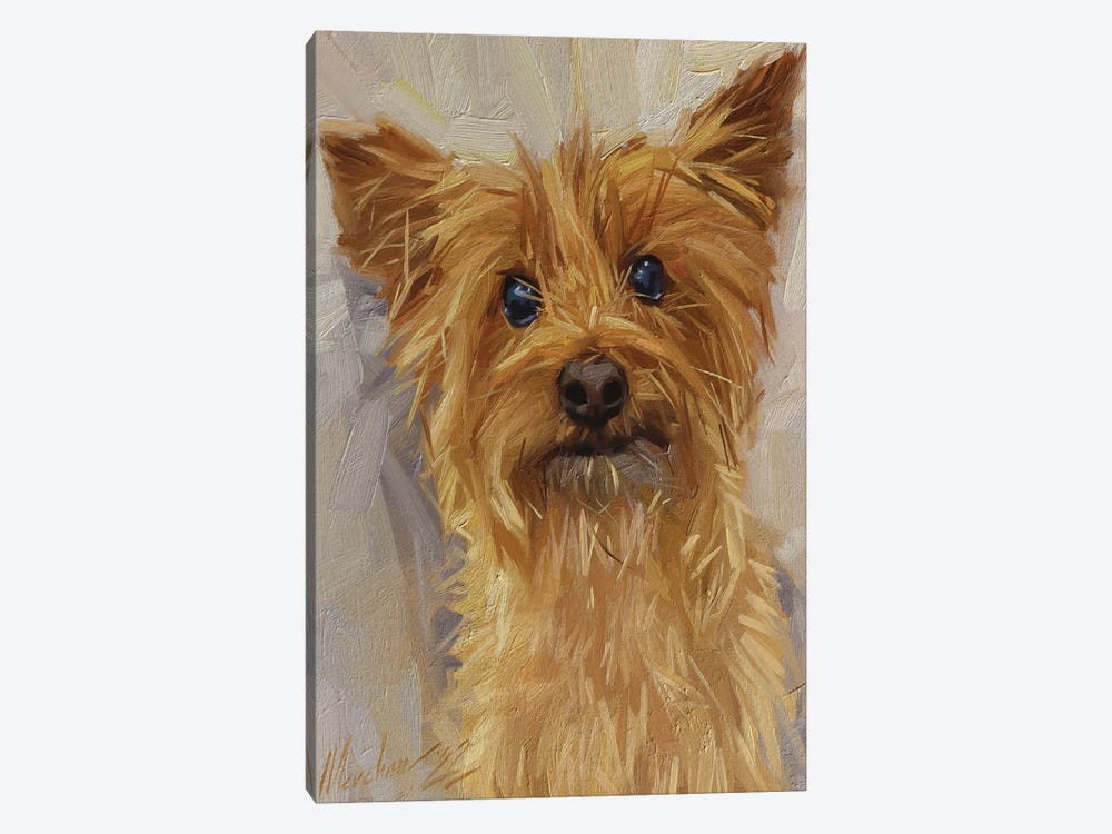Yorkshire Terrier by Alex Movchun 1-piece Canvas Print