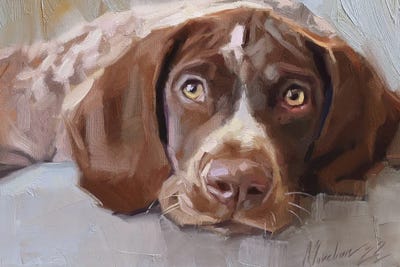 German Shorthaired Pointer Portrait by Alex Movchun framed wall art