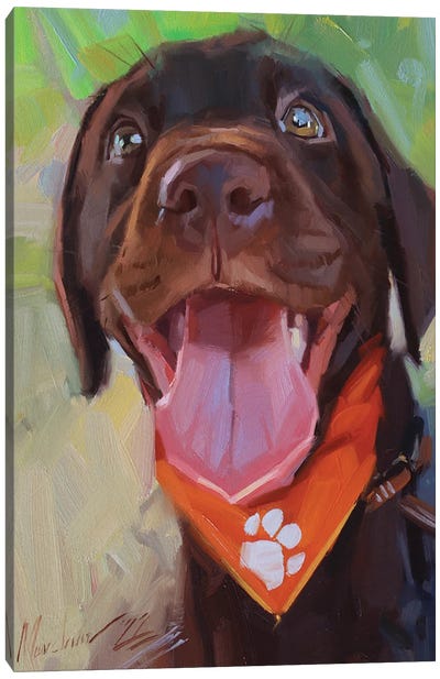 Chocolate Labrador Portrait Canvas Art Print - Alex Movchun