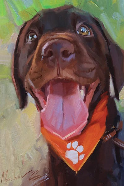 Alex Movchun: Chocolate Labrador Portrait by Alex Movchun