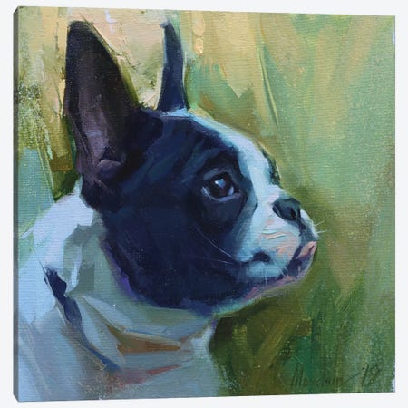 Bulldog Canvas Print #AMV10} by Alex Movchun Canvas Art Print