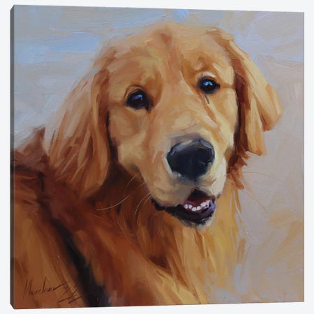 Golden Labrador Canvas Print #AMV110} by Alex Movchun Canvas Artwork