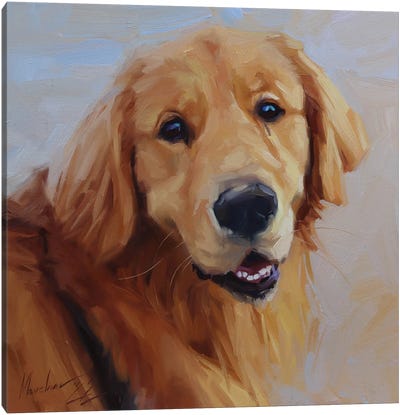 Golden Labrador Canvas Art Print - Alex Movchun