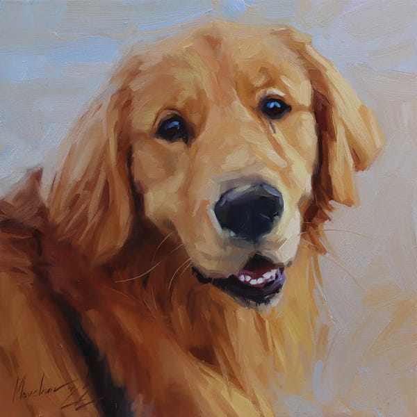 Labrador Retrievers: Golden Labrador by Alex Movchun
