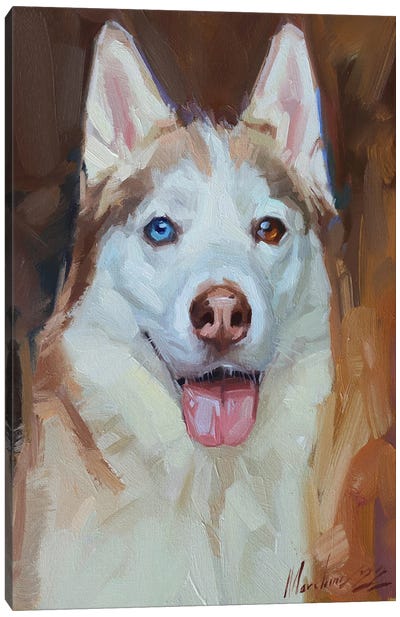 Husky Portrait Canvas Art Print - Alex Movchun