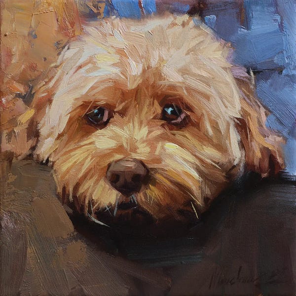 Maltese: Maltype Portrait, by Alex Movchun