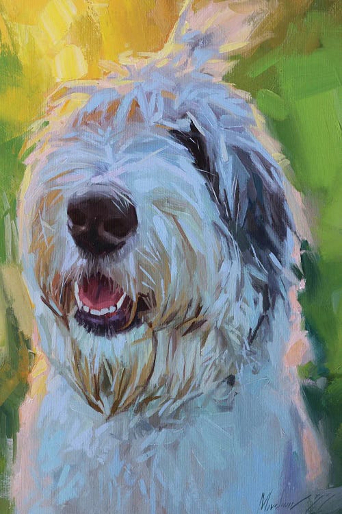 Bobtail Portrait,