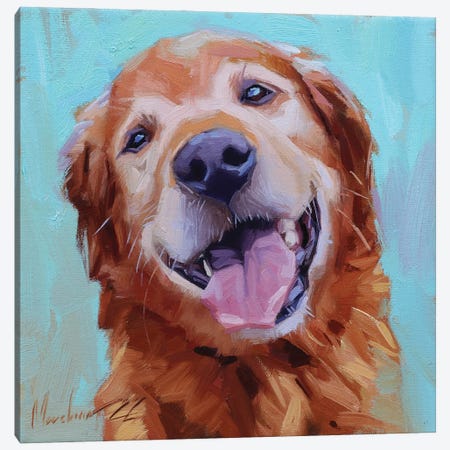 Golden Labrador Smiling, Canvas Print #AMV115} by Alex Movchun Canvas Art Print