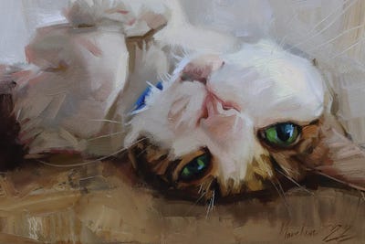 Cat Lying On Its Back, Cat Portrait by Alex Movchun framed wall art