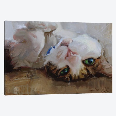 Cat Lying On Its Back, Cat Portrait Canvas Print #AMV116} by Alex Movchun Canvas Print