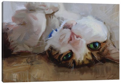 Cat Lying On Its Back, Cat Portrait Canvas Art Print - Alex Movchun