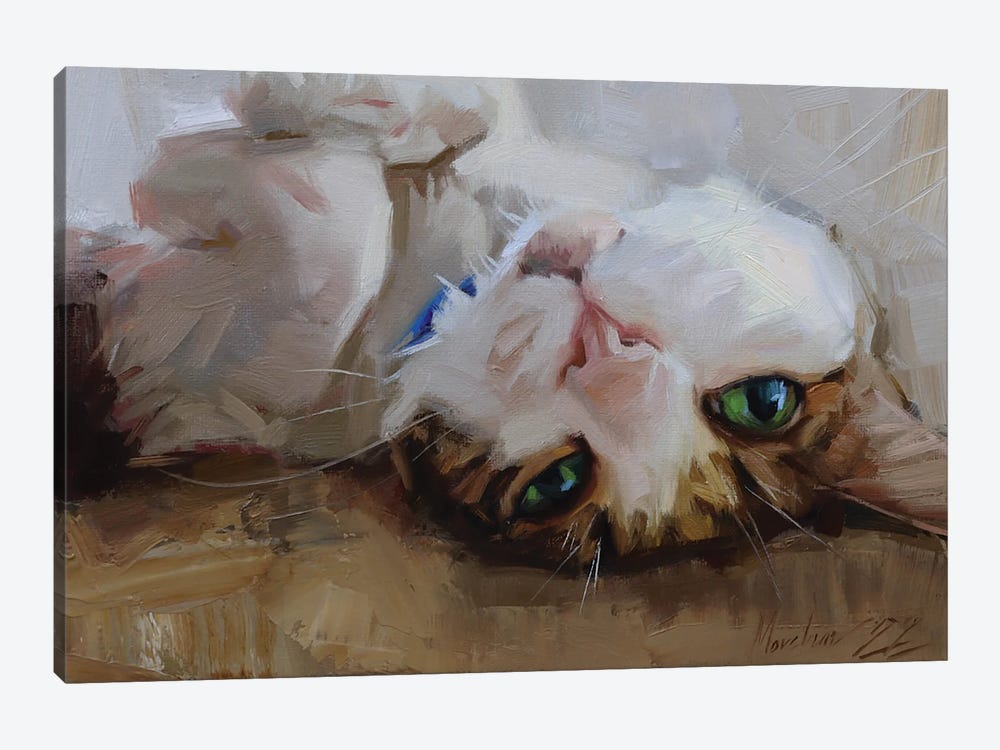Cat Lying On Its Back, Cat Portrait by Alex Movchun 1-piece Art Print