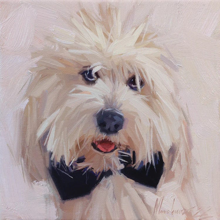 White Small Dog Portrait