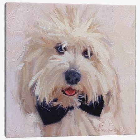 White Small Dog Portrait Canvas Print #AMV117} by Alex Movchun Canvas Print
