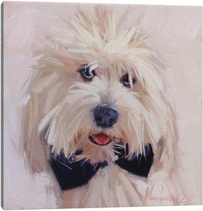 White Small Dog Portrait Canvas Art Print - Maltese Art