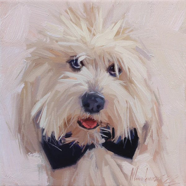 Maltese: White Small Dog Portrait by Alex Movchun