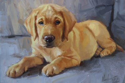 Labrador Puppy Portrait by Alex Movchun canvas print
