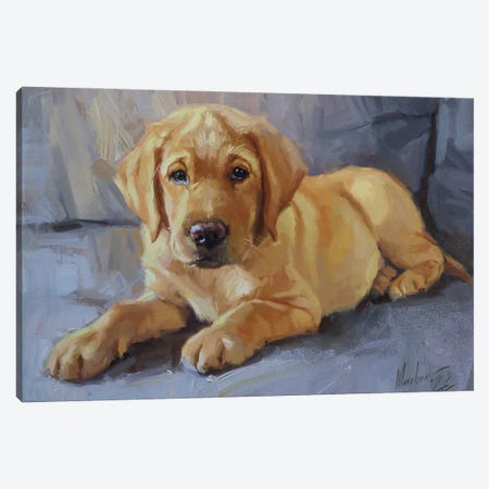 Labrador Puppy Portrait Canvas Print #AMV118} by Alex Movchun Canvas Wall Art