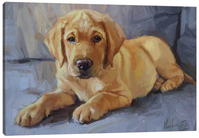 Labrador Puppy Portrait Canvas Art Print - Alex Movchun