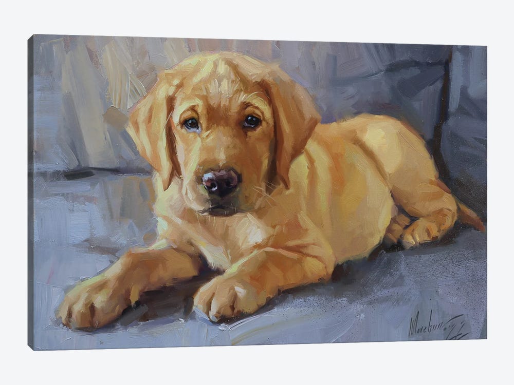 Labrador Puppy Portrait by Alex Movchun 1-piece Canvas Print
