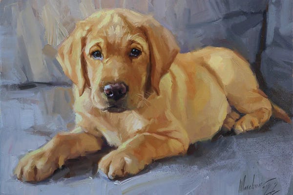 Labrador Retrievers: Labrador Puppy Portrait by Alex Movchun