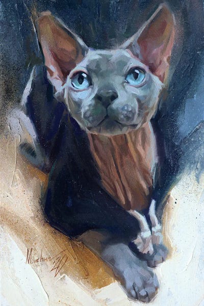 Hairless Cats: Simon The Sphinx by Alex Movchun