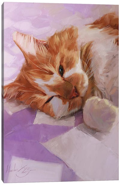 Sleepy Cat, White And Red Cat Canvas Art Print - Alex Movchun