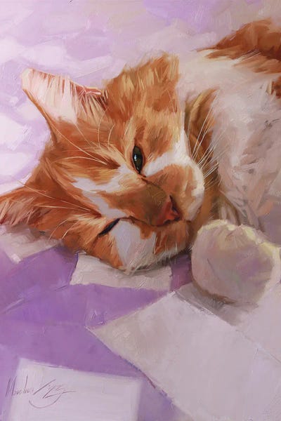 Alex Movchun: Sleepy Cat, White And Red Cat by Alex Movchun