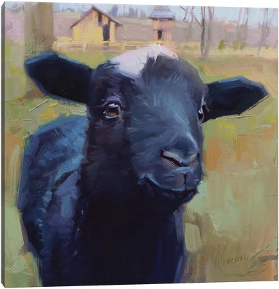 A Little Sheep, Black Sheep, Sheep Portrait Canvas Art Print - Alex Movchun