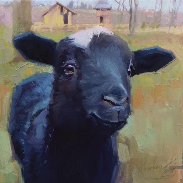 Goats: A Little Sheep, Black Sheep, Sheep Portrait by Alex Movchun