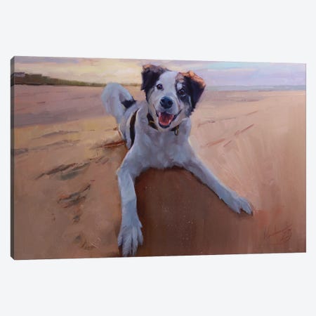 Border Collie Portrait, Dog Portrait, Dog On The Beach Canvas Print #AMV124} by Alex Movchun Canvas Artwork