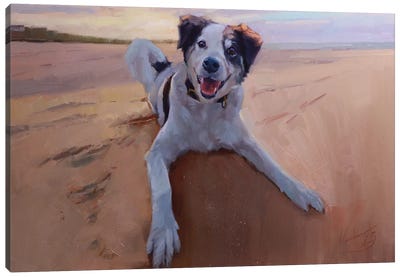 Border Collie Portrait, Dog Portrait, Dog On The Beach Canvas Art Print - Border Collie Art