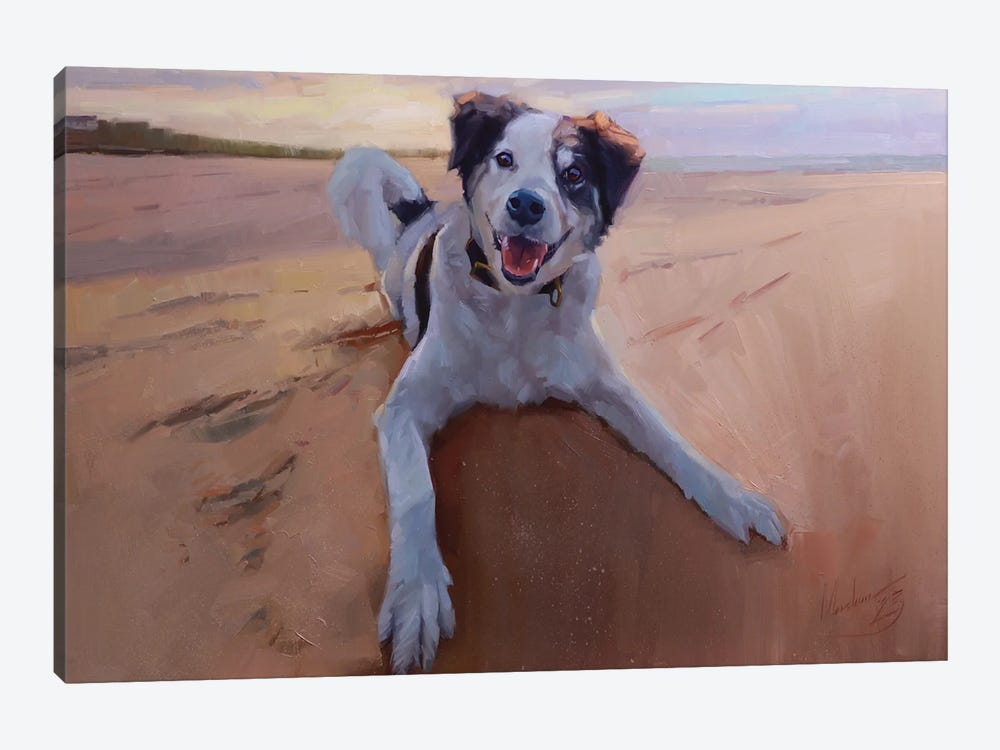 Border Collie Portrait, Dog Portrait, Dog On The Beach by Alex Movchun 1-piece Canvas Artwork