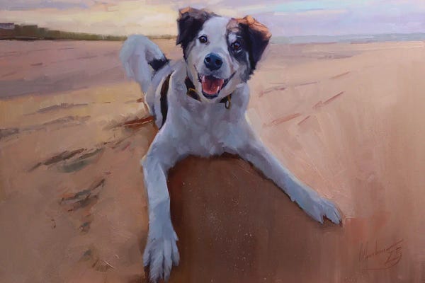 Border Collies: Border Collie Portrait, Dog Portrait, Dog On The Beach by Alex Movchun