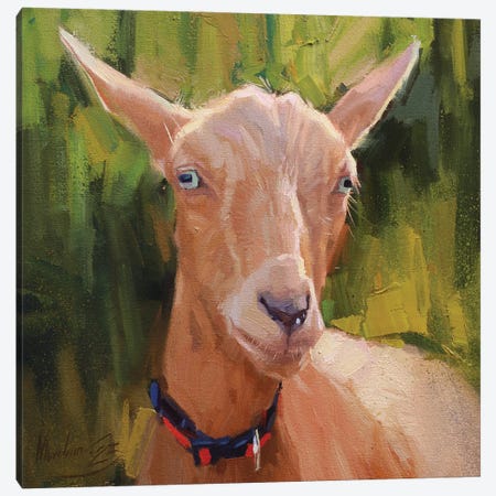 Goat Portrait, Red Goat Canvas Print #AMV125} by Alex Movchun Canvas Art