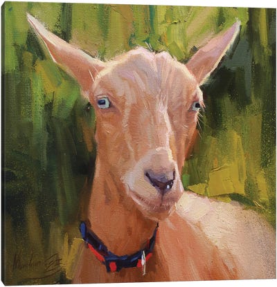 Goat Portrait, Red Goat Canvas Art Print - Alex Movchun