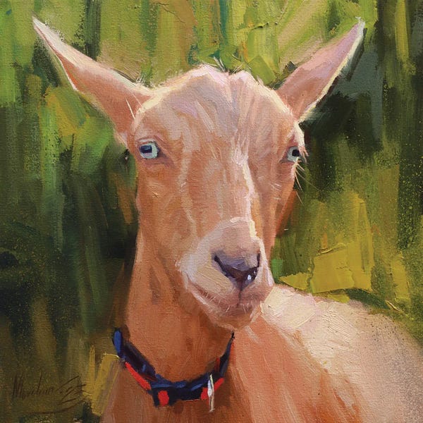 Goats: Goat Portrait, Red Goat by Alex Movchun