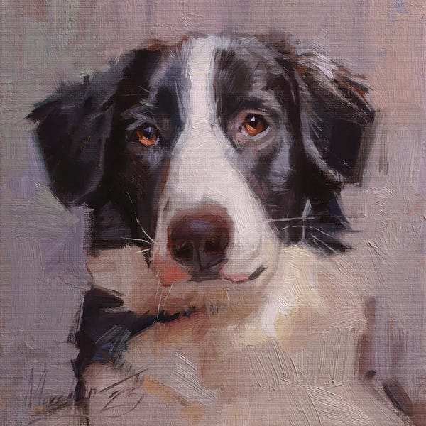 Alex Movchun: Black And White Dog Portrait by Alex Movchun