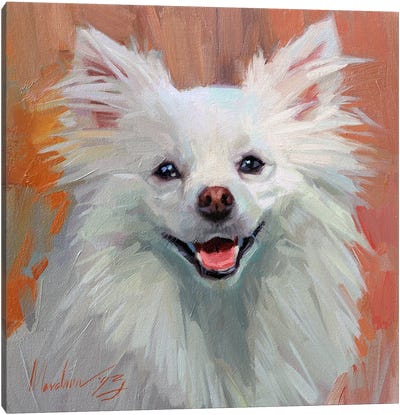 A Fluffy Canine Portrait In Warm Hues, Pomeranian Canvas Art Print - Alex Movchun