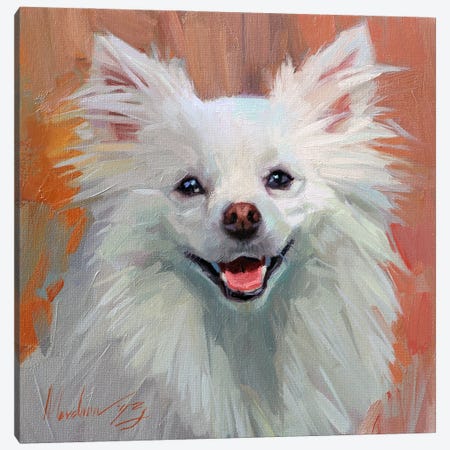 A Fluffy Canine Portrait In Warm Hues, Pomeranian Canvas Print #AMV128} by Alex Movchun Art Print