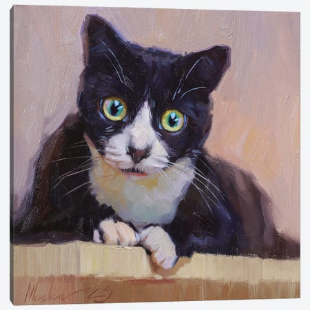Portrait Of Black Cat With Green Eyes Canvas Print #AMV129} by Alex Movchun Art Print