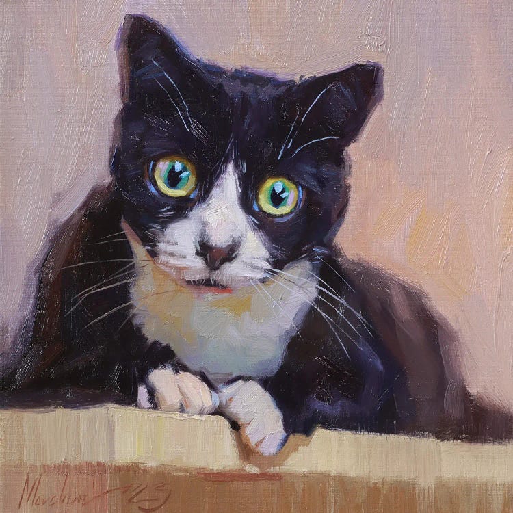 Portrait Of Black Cat With Green Eyes