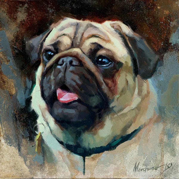 Alex Movchun: Pug by Alex Movchun