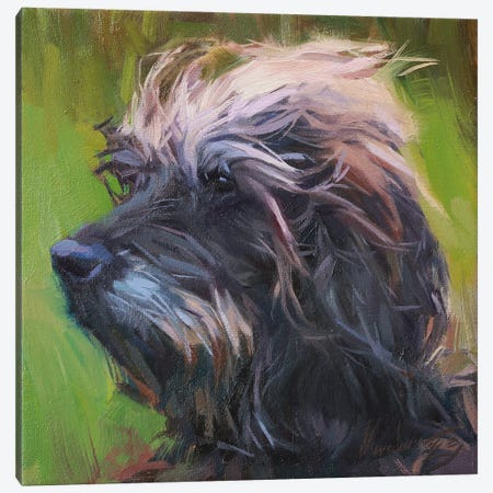 Dog Portrait, Schnauzer Canvas Print #AMV130} by Alex Movchun Canvas Artwork